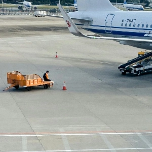 Domestic Air Freight